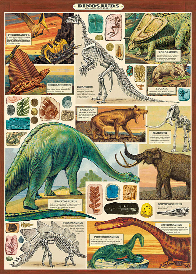 Dinosaurs Scientific Chart - Stemcell Science Shop