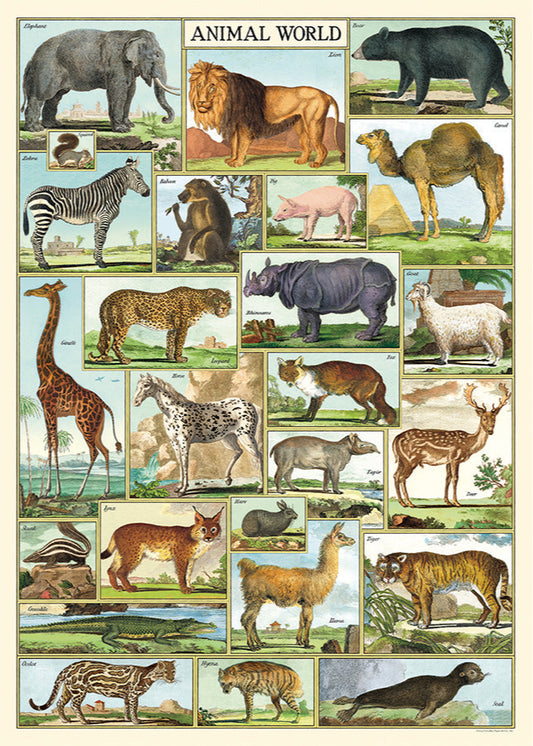 Animal World Scientific Chart - Stemcell Science Shop