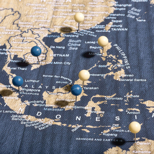 Push Pin World Map: Deep-Sea (Pins Included)