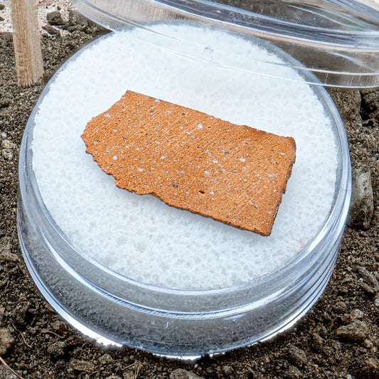 Dracula Castle Brick 🦇