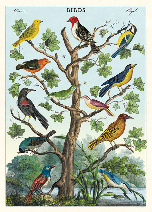 Birds in a Tree Scientific Chart - Stemcell Science Shop