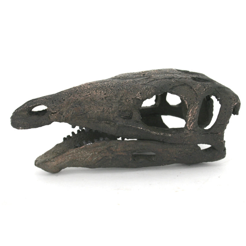 Replica Stegosaurus Mini Dinosaur Skull Fossil