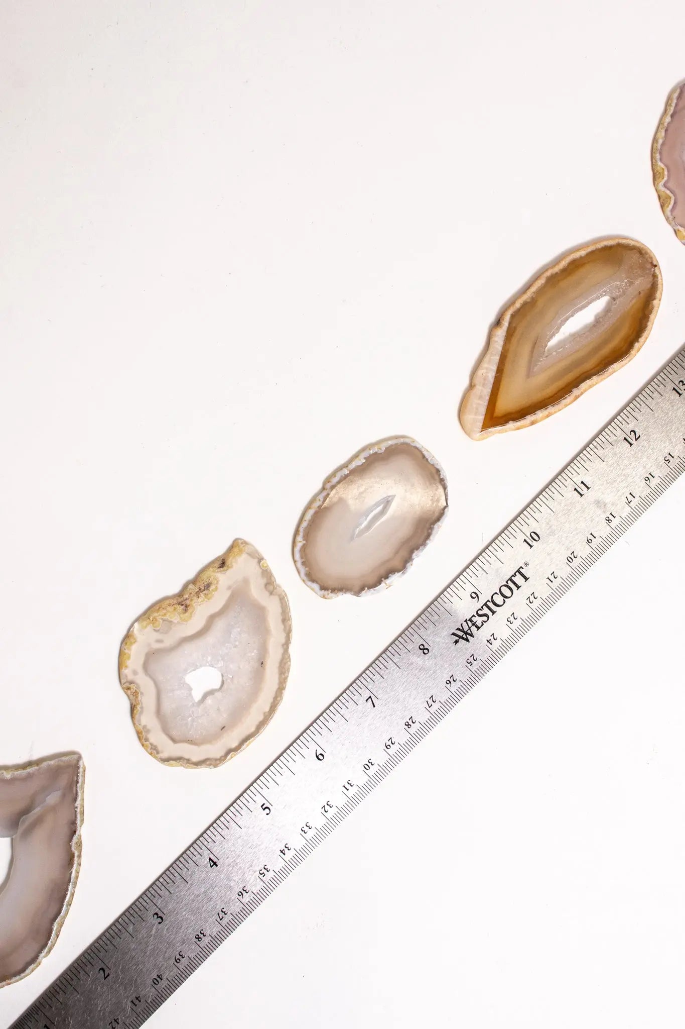 Agate Slice