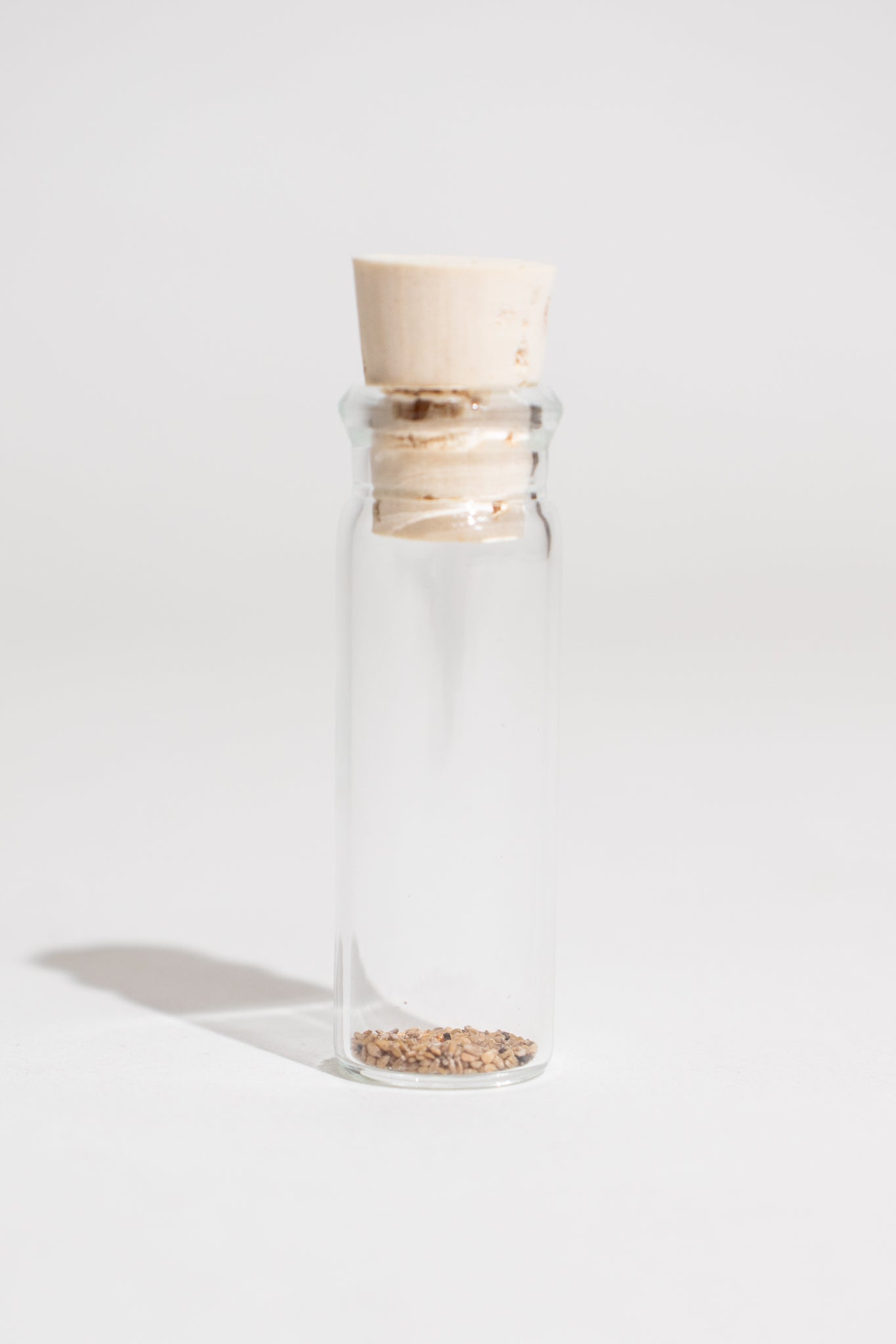 Quaking Aspen Seeds - Stemcell Science Shop