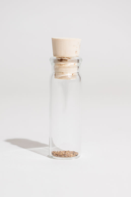 Quaking Aspen Seeds - Stemcell Science Shop