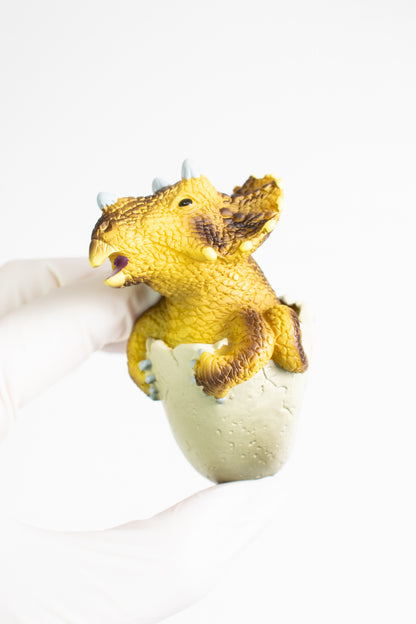 Baby Triceratops Magnet