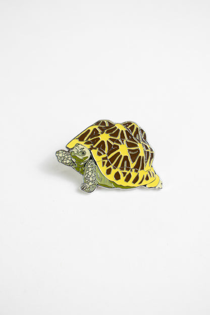 Indian Star Tortoise Enamel Pin