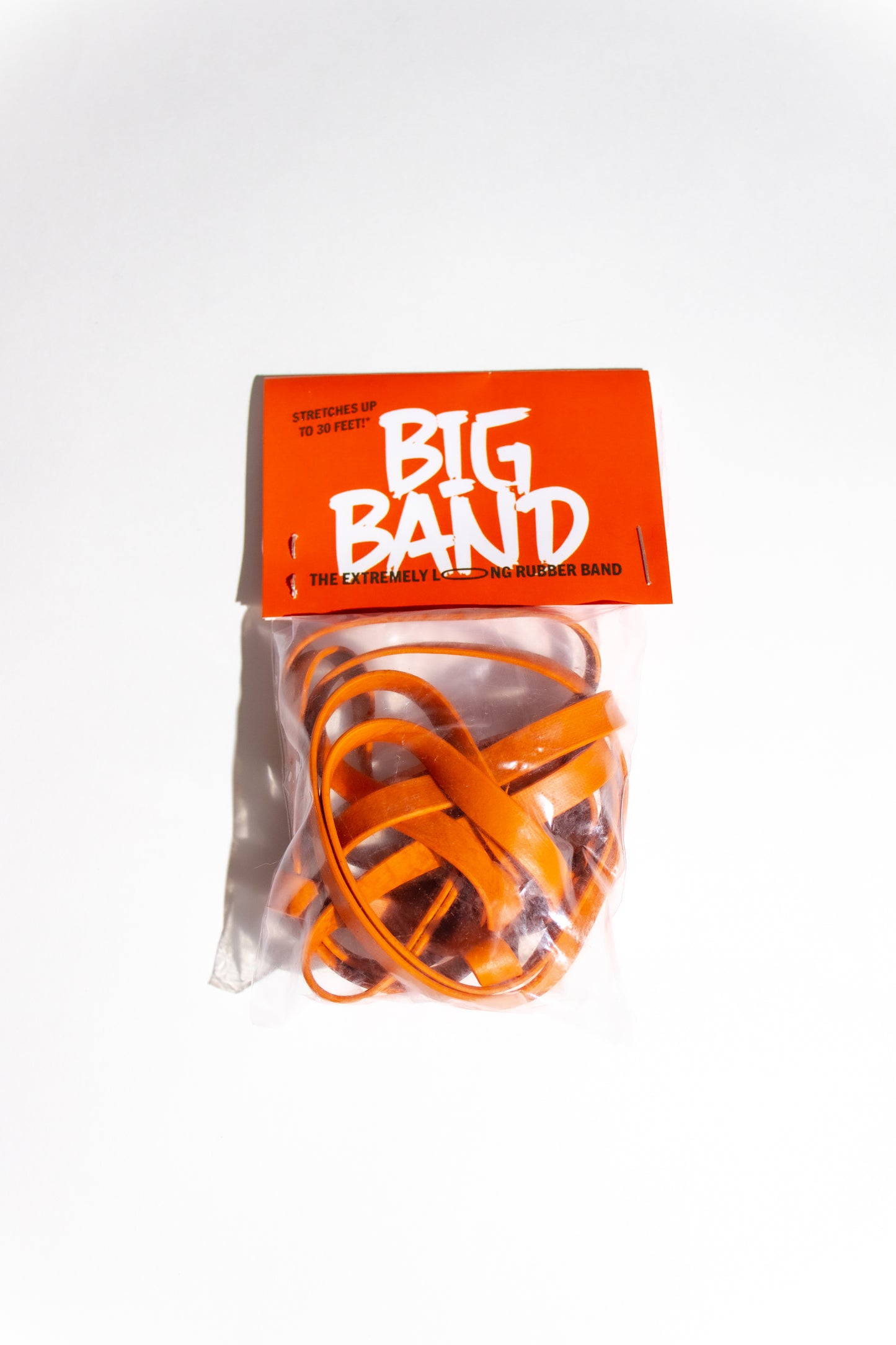 Big Band - The Extremely Long Rubber Band - Stemcell Science Shop