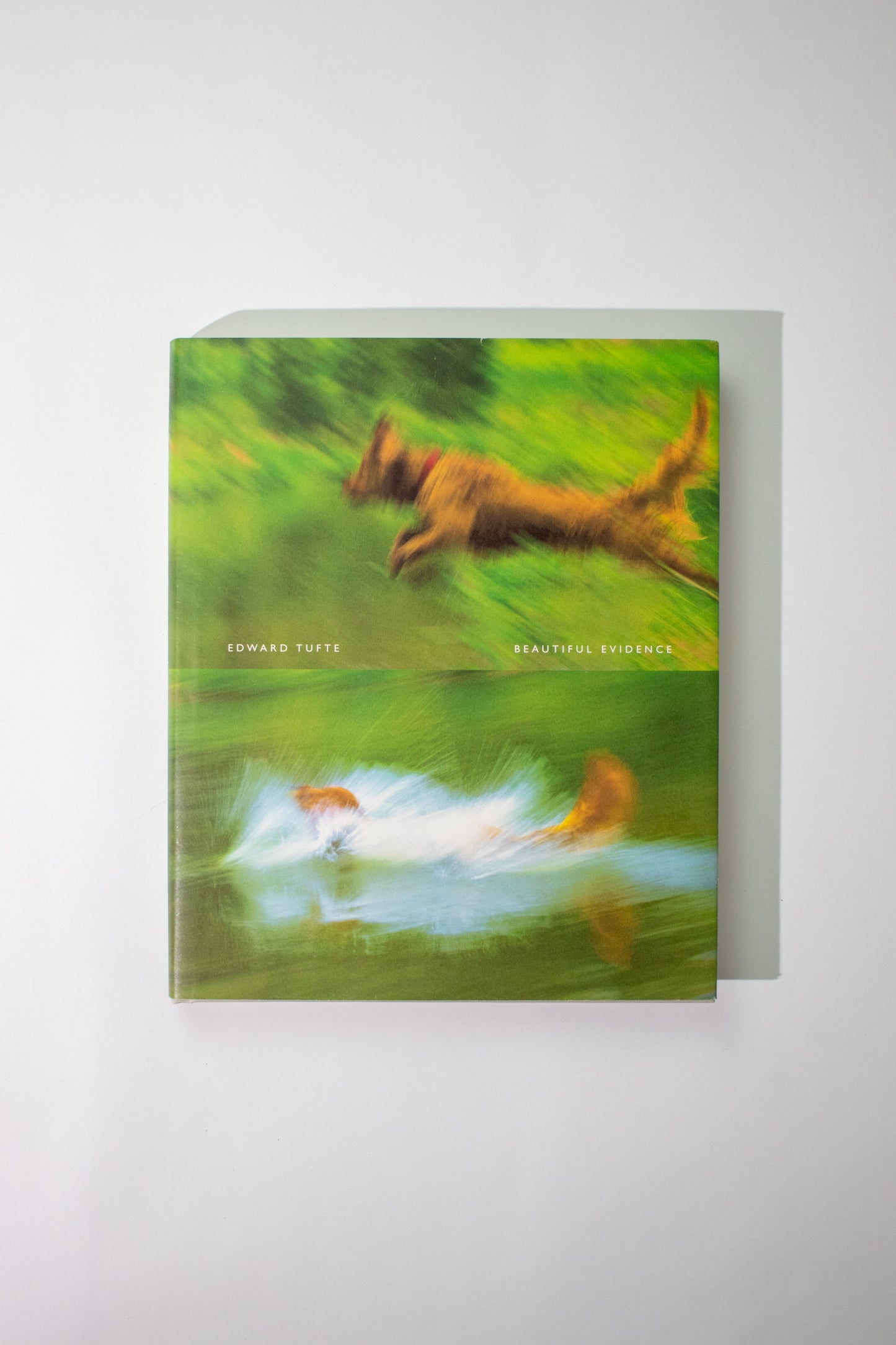 Beautiful Evidence (Signed)