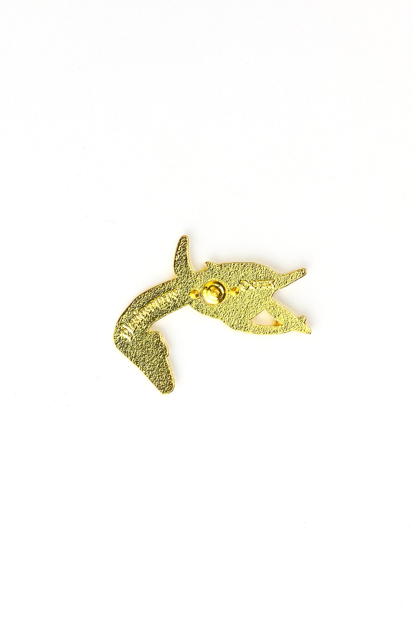 Plesiosaurus Enamel Pin (Plesiosaurus dolichodeirus) - Stemcell Science Shop