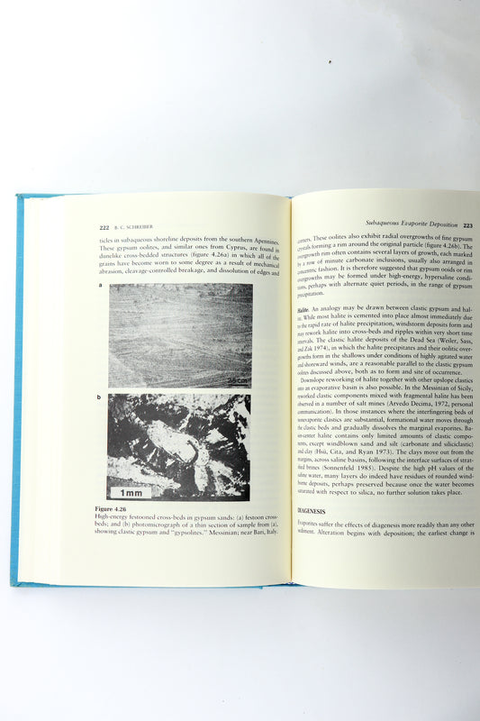 Evaporites and Hydrocarbons