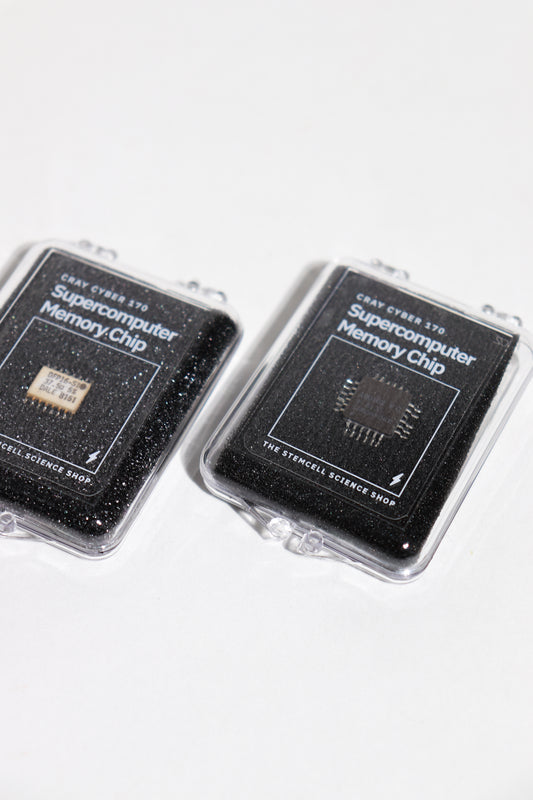 Supercomputer Memory Chip