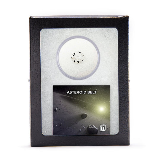 Asteroid Belt HED Meteorite Fragments - Classic Riker Box Specimens