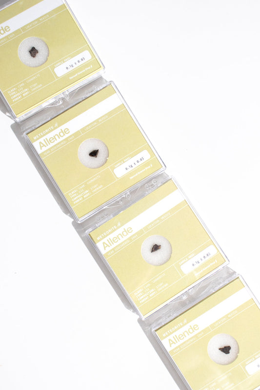 Allende Meteorite - Meteorites from Stemcell Science Shop