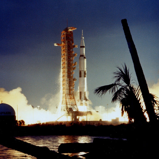 Apollo 14 Moon Tree - Stemcell Science Shop