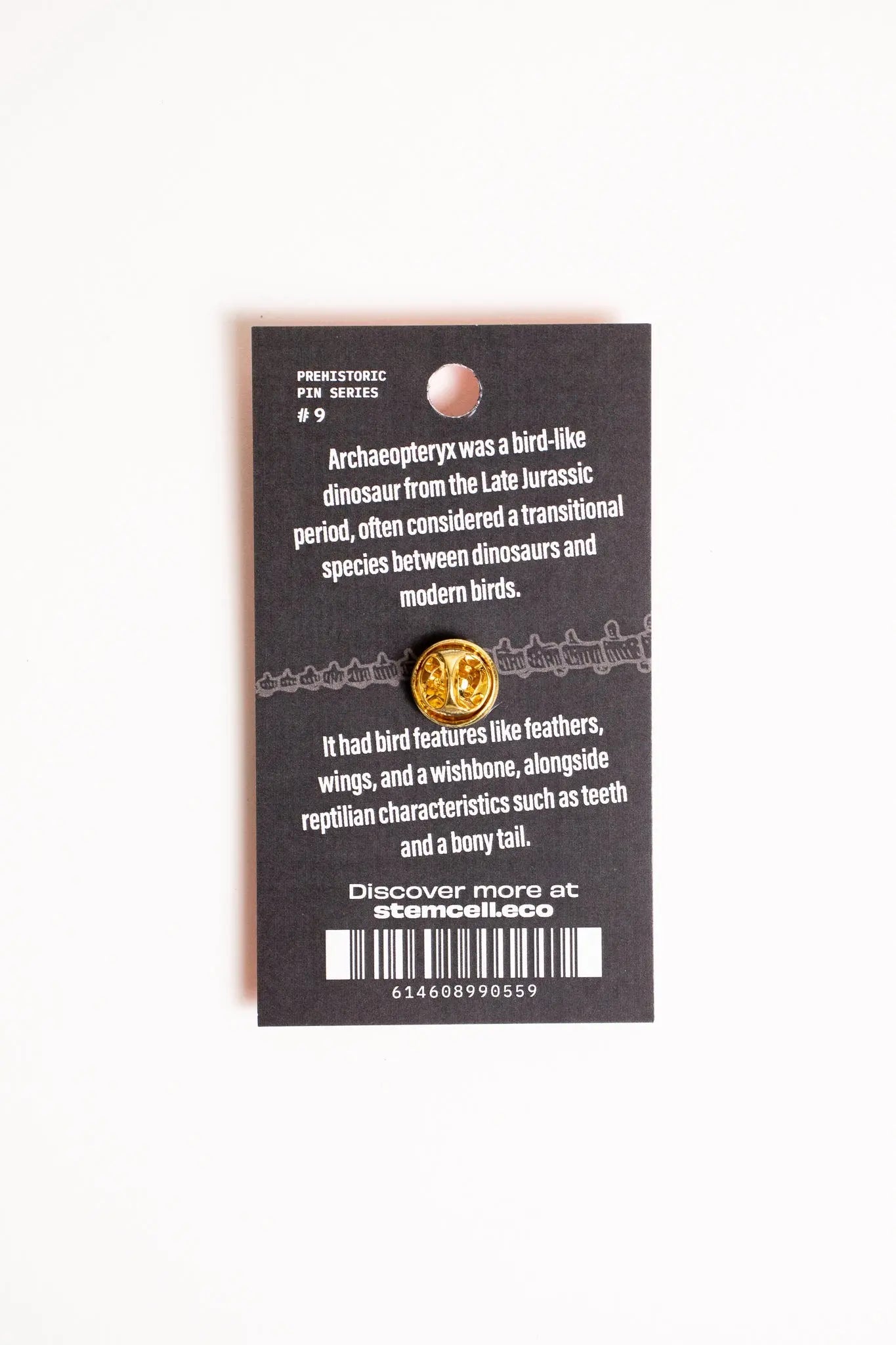 Archaeopteryx Pin - Pin from Stemcell Science Shop