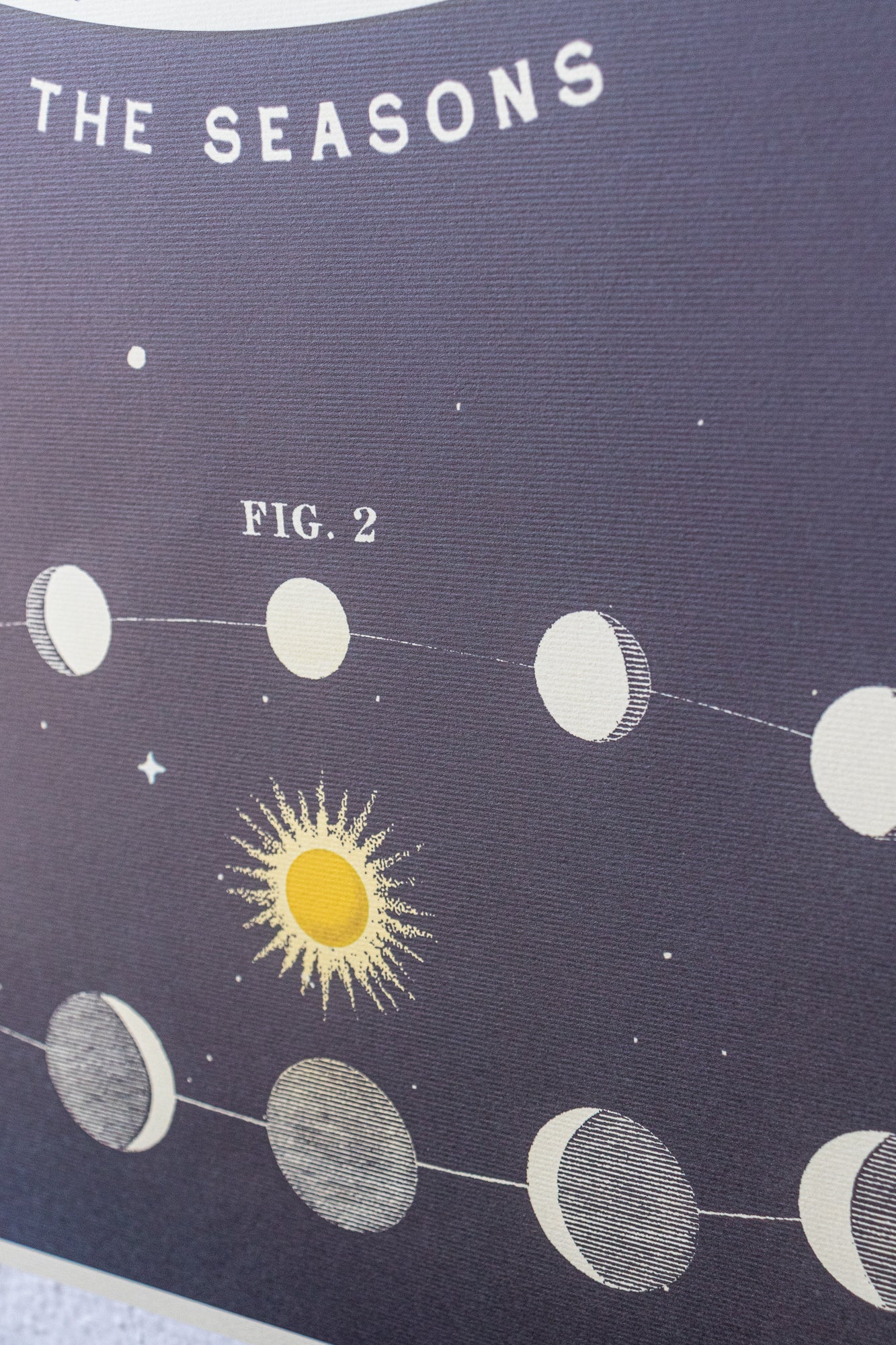 Astronomy Chart - Charts from Stemcell Science Shop