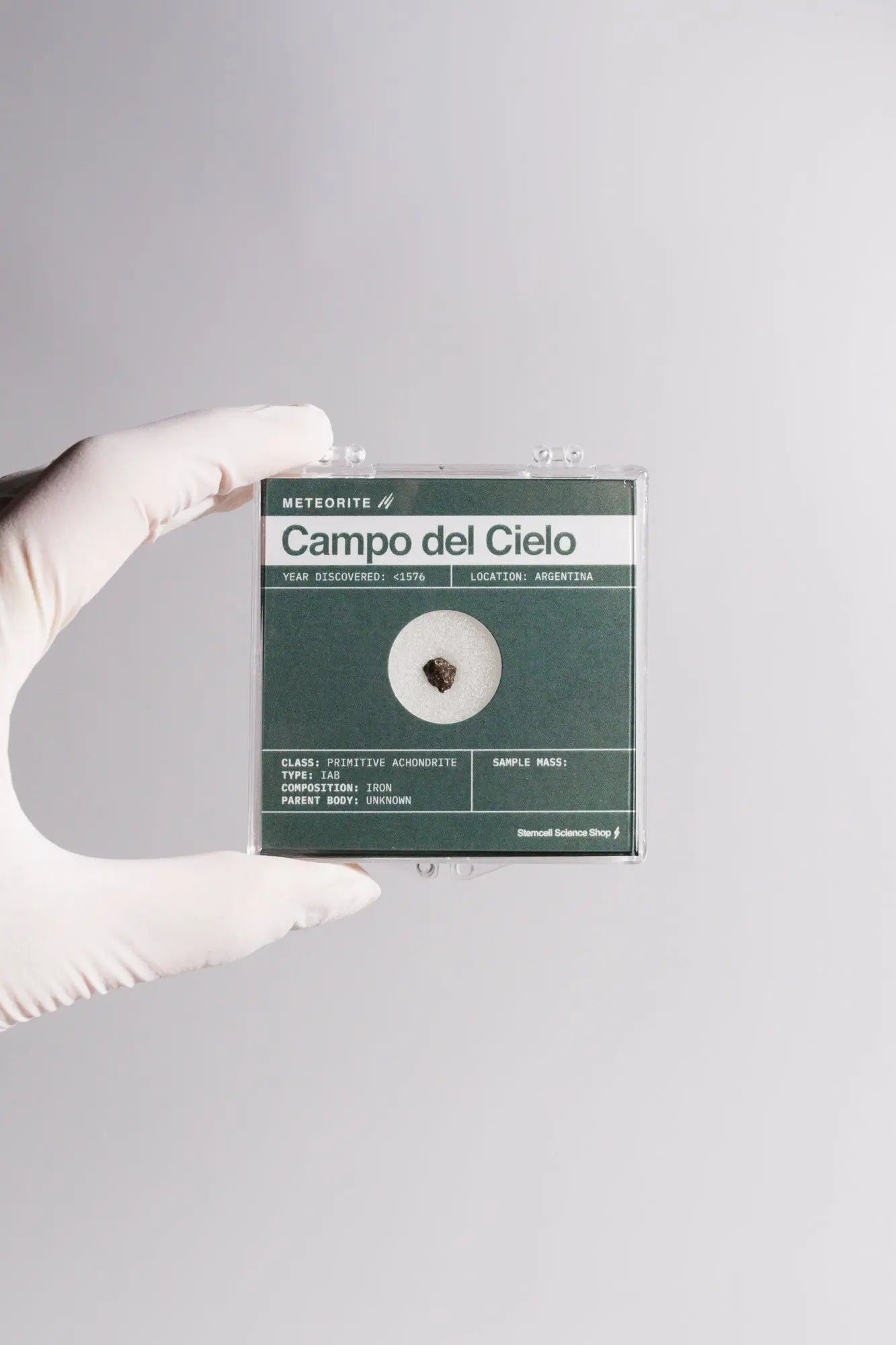 Campo del Cielo Meteorite - Meteorites from Stemcell Science Shop
