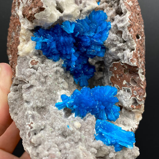Cavansite Deep Blue in geode Natural Mineral Specimen # DK186