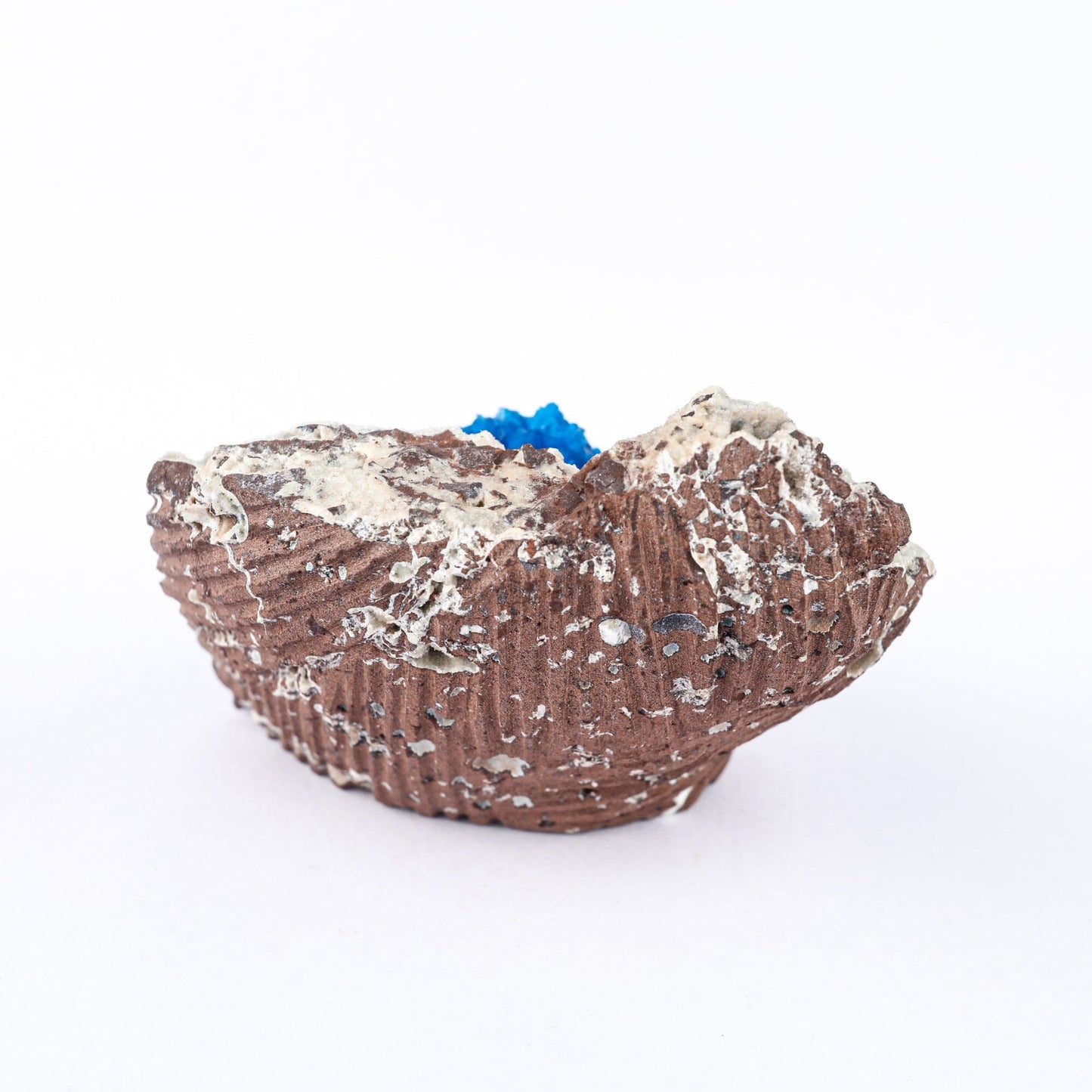 Cavansite on Heulandite (Rare Find) Natural Mineral Specimen # B 6479
