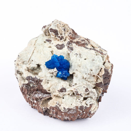Cavansite on Heulandite (Rare Find) Natural Mineral Specimen # B 6479