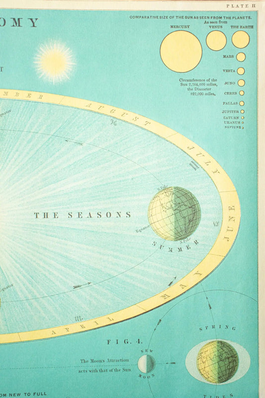 Celestial Chart - Charts from Stemcell Science Shop