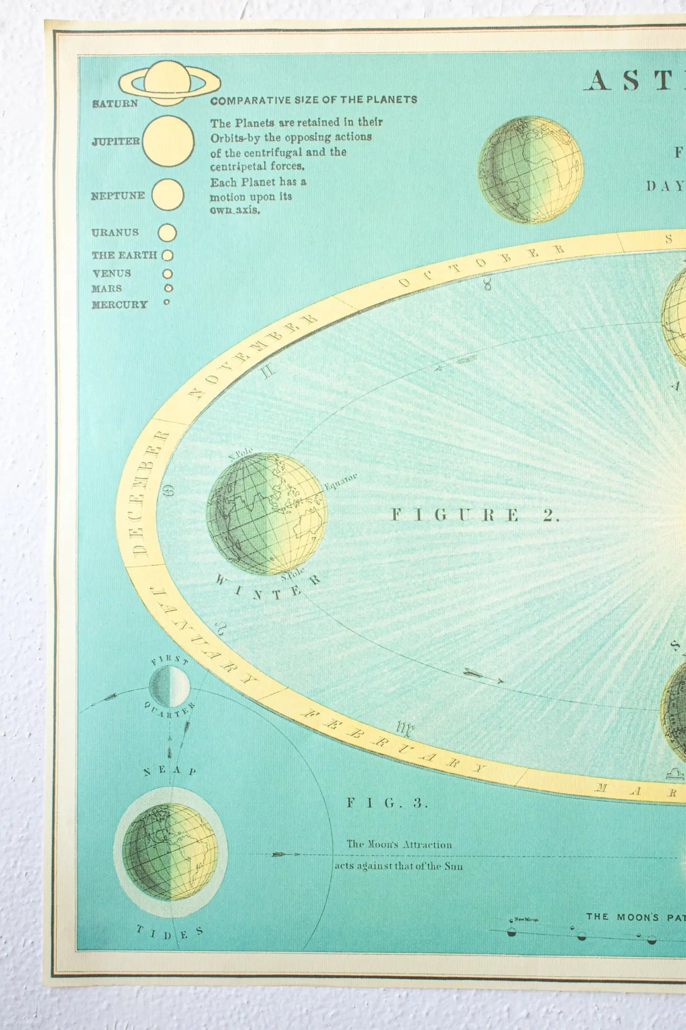 Celestial Chart - Charts from Stemcell Science Shop