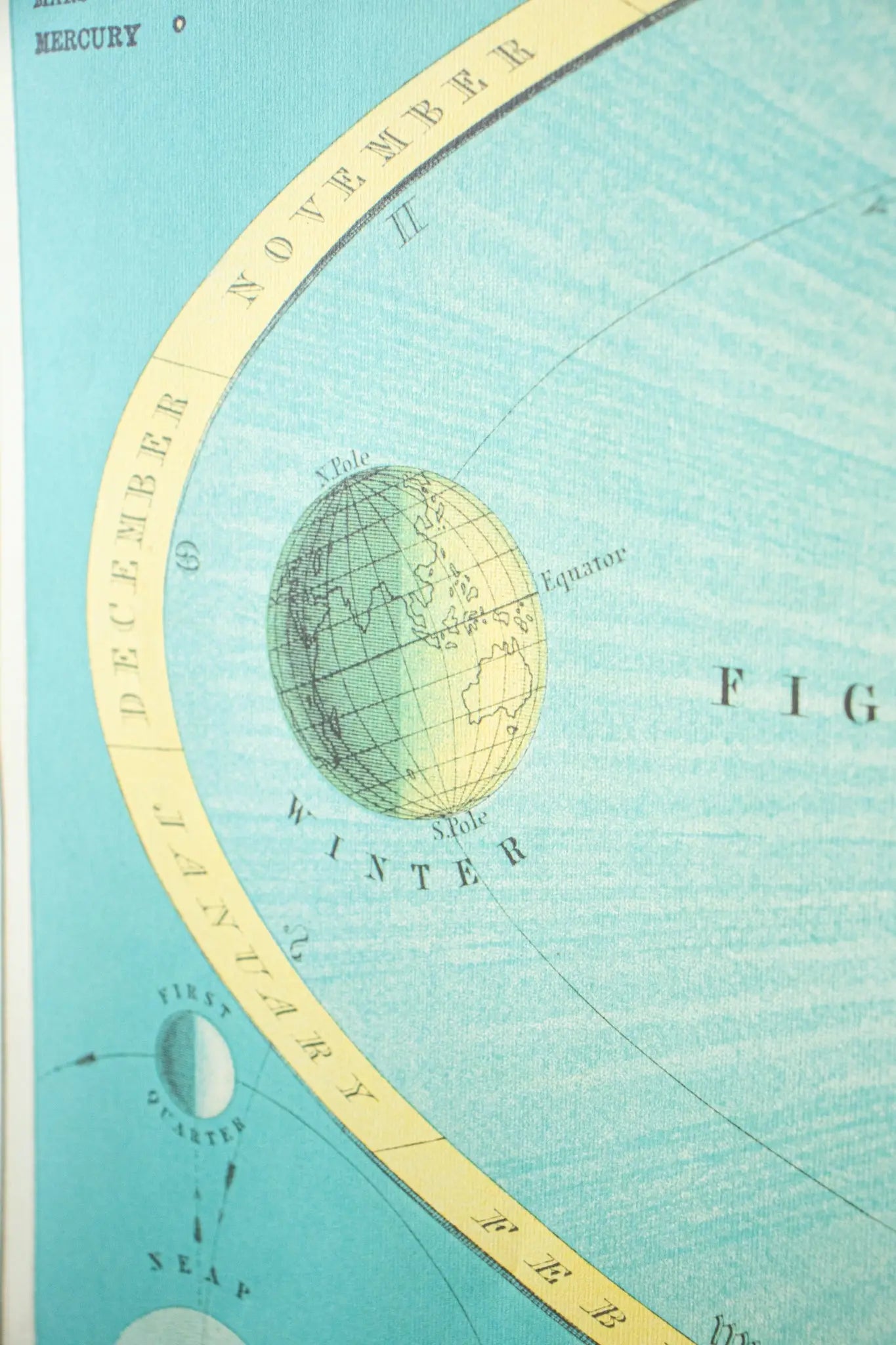Celestial Chart - Charts from Stemcell Science Shop