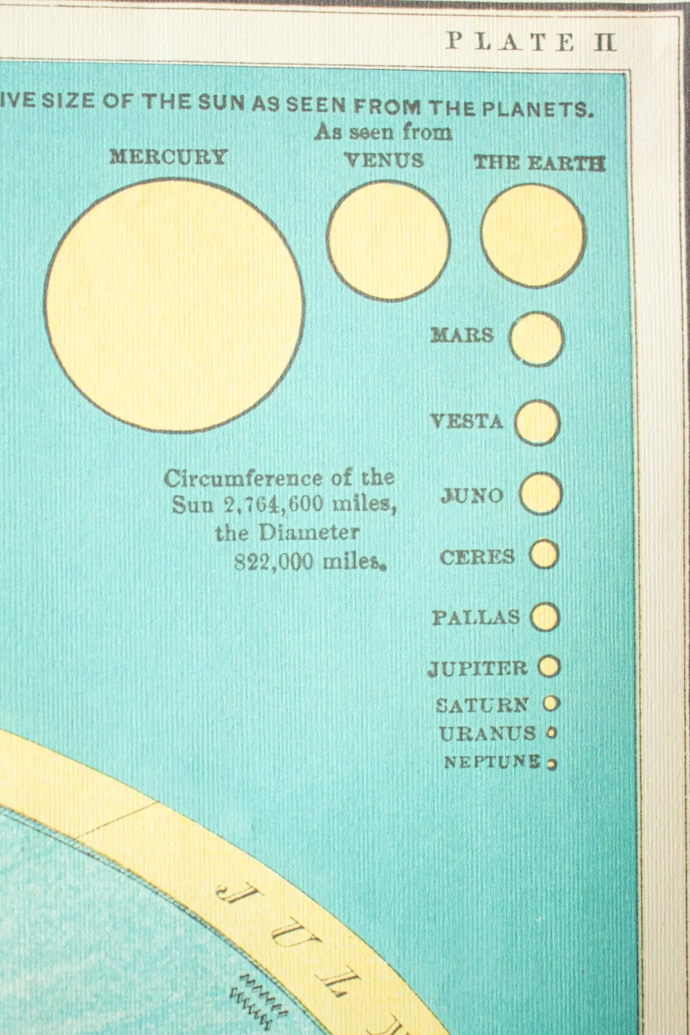 Celestial Chart - Charts from Stemcell Science Shop