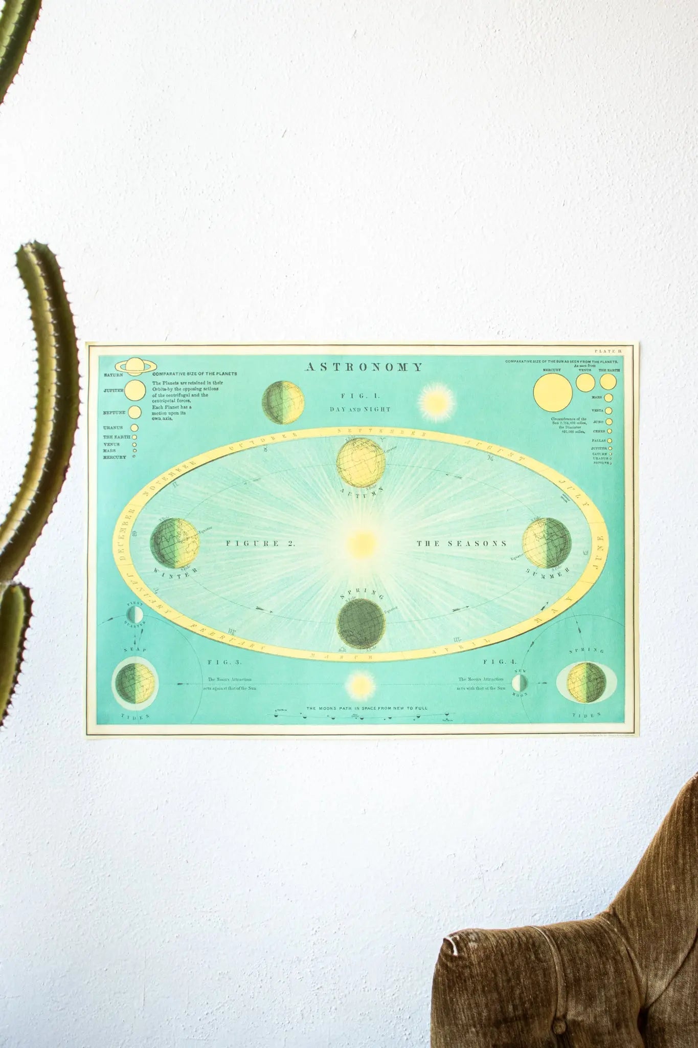 Celestial Chart - Charts from Stemcell Science Shop