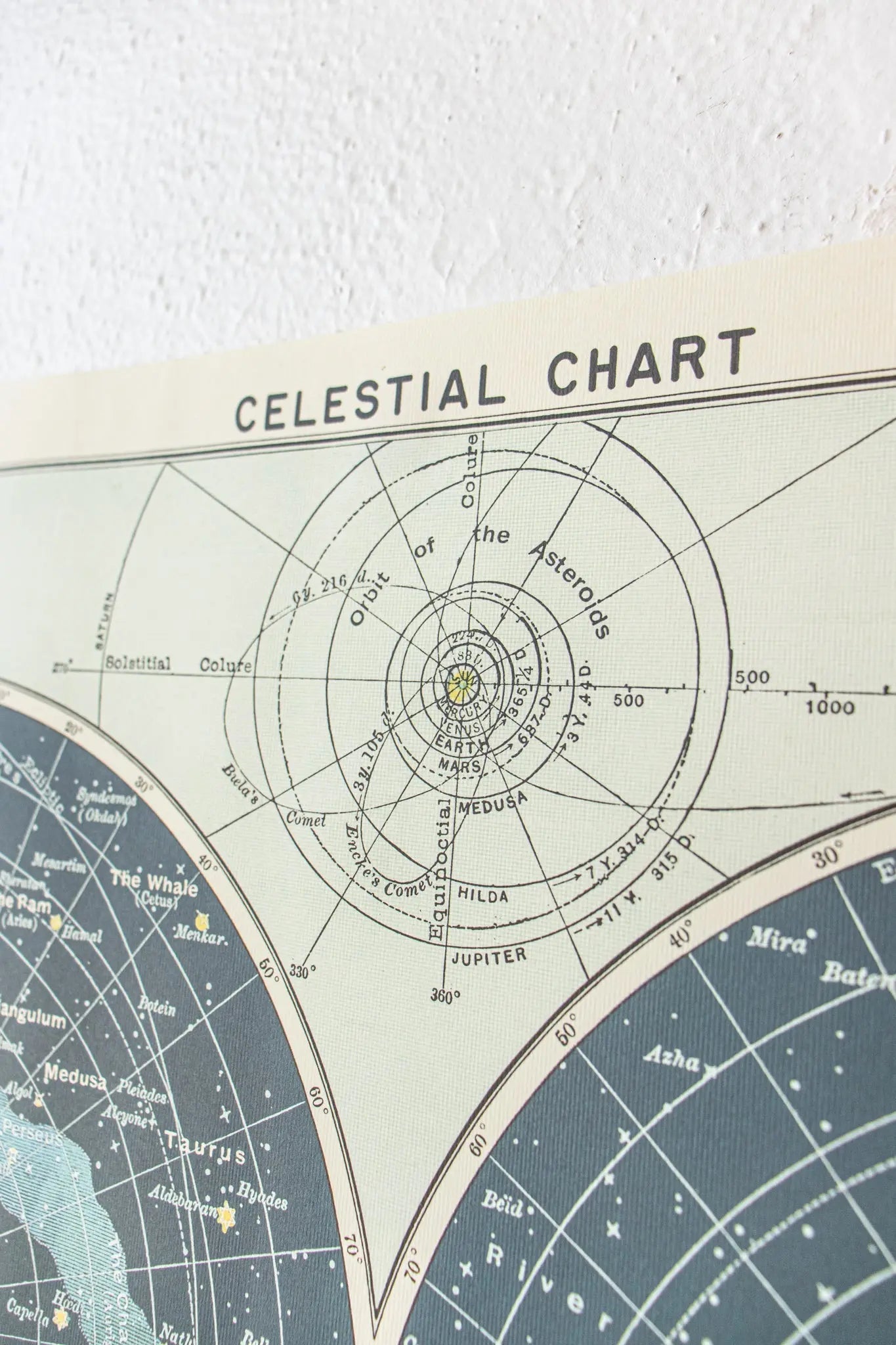 Celestial Chart - Charts from Stemcell Science Shop