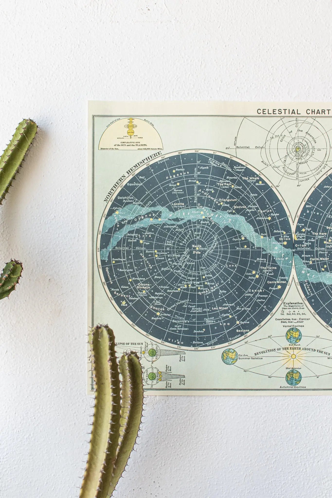 Celestial Chart - Charts from Stemcell Science Shop