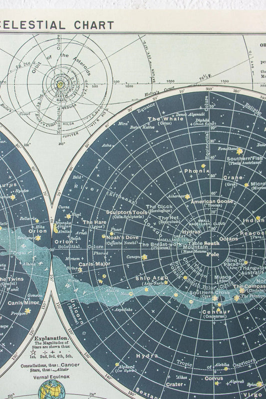 Celestial Chart - Charts from Stemcell Science Shop