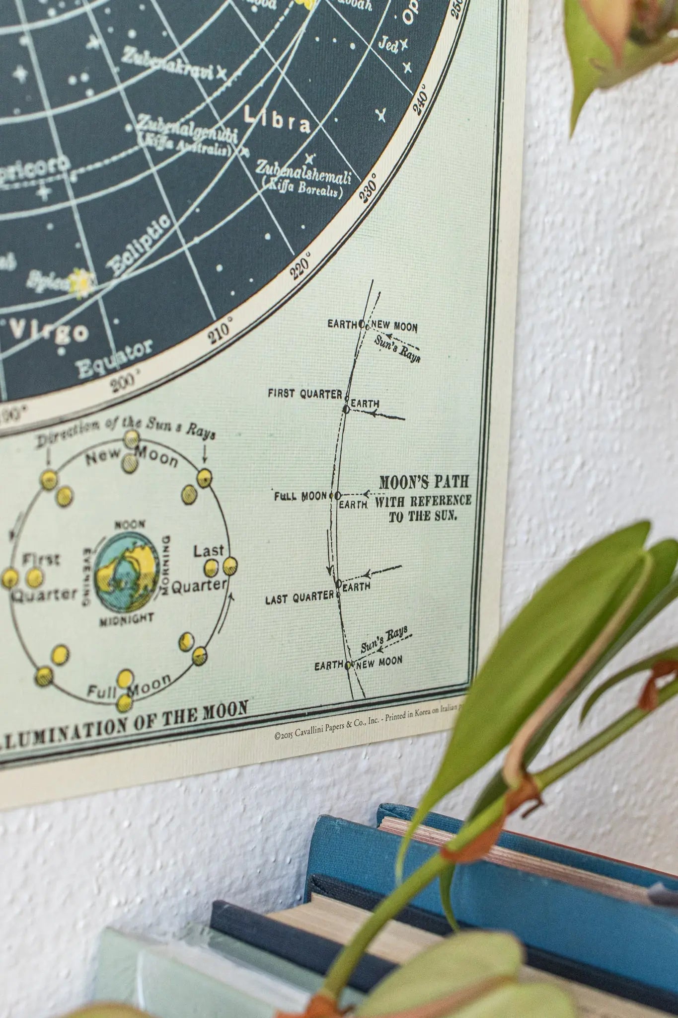 Celestial Chart - Charts from Stemcell Science Shop