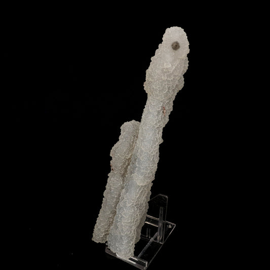 Chalcedony Coral Natural Mineral Specimen # B 6170