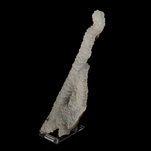 Chalcedony Coral Natural Mineral Specimen # B 6172