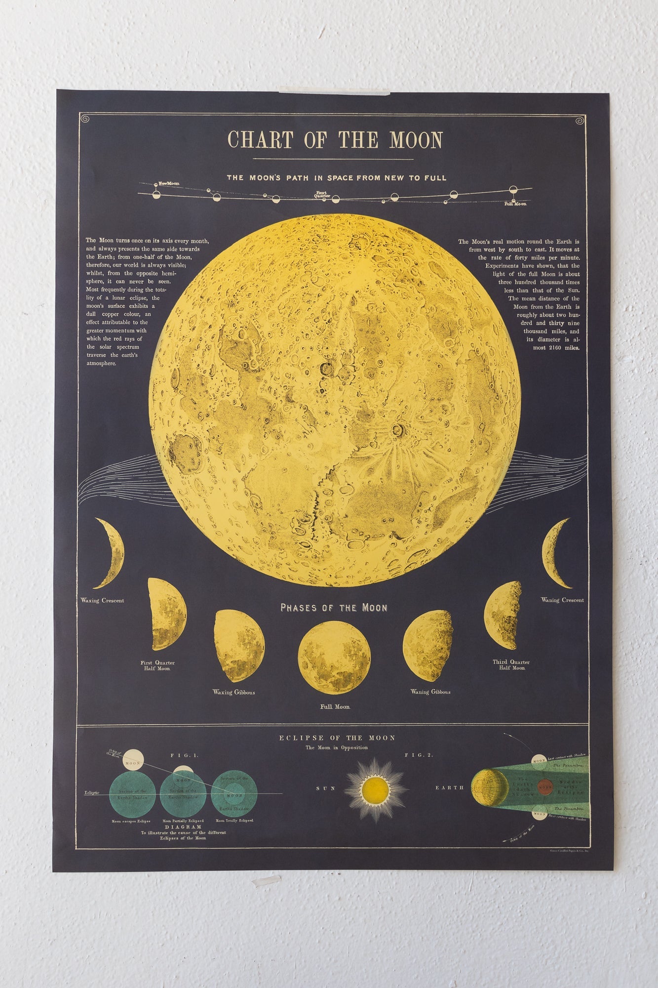 Chart of the Moon - Charts from Stemcell Science Shop