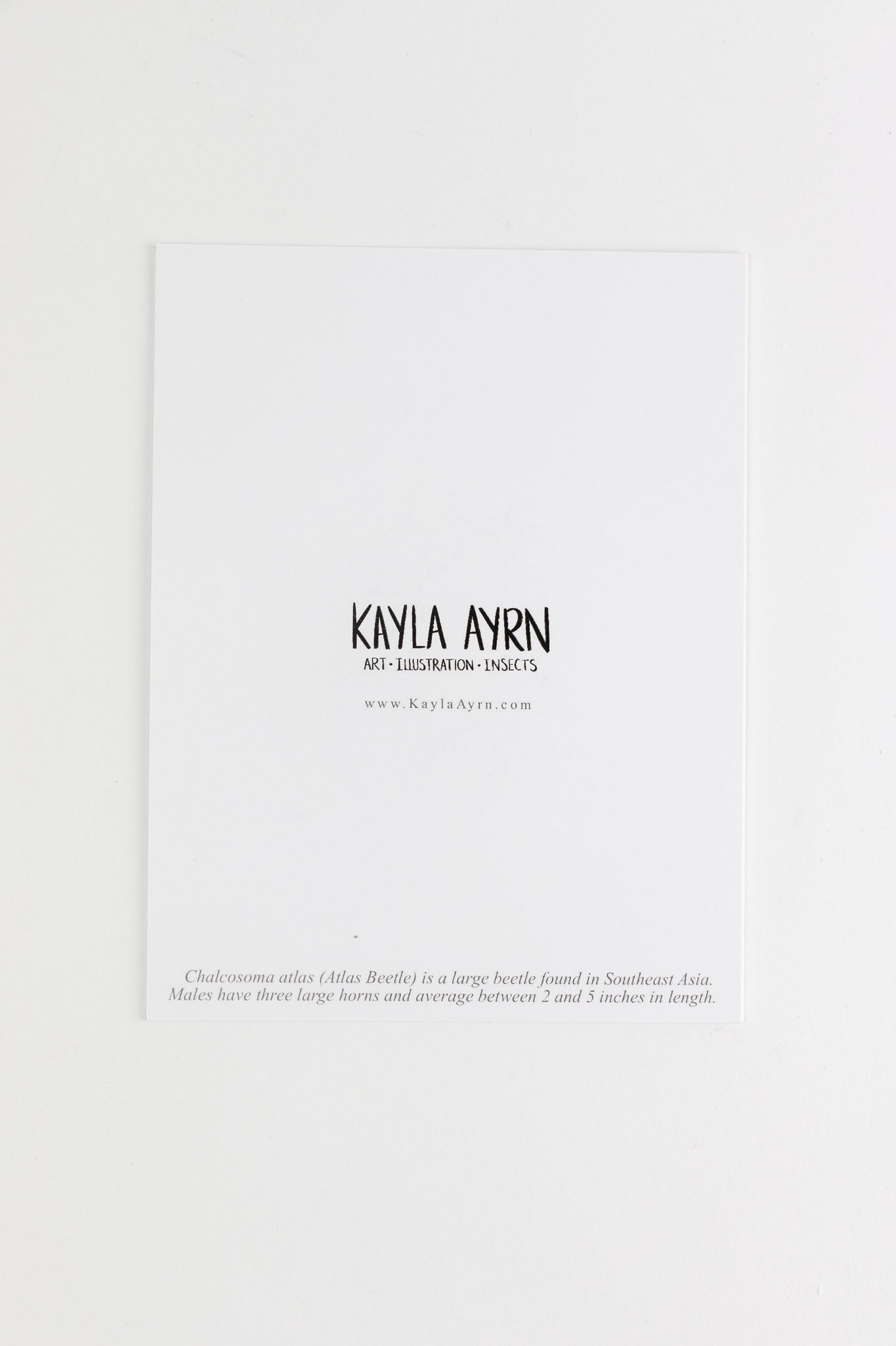 Christmas Atlas Card - Stationery from Stemcell Science Shop