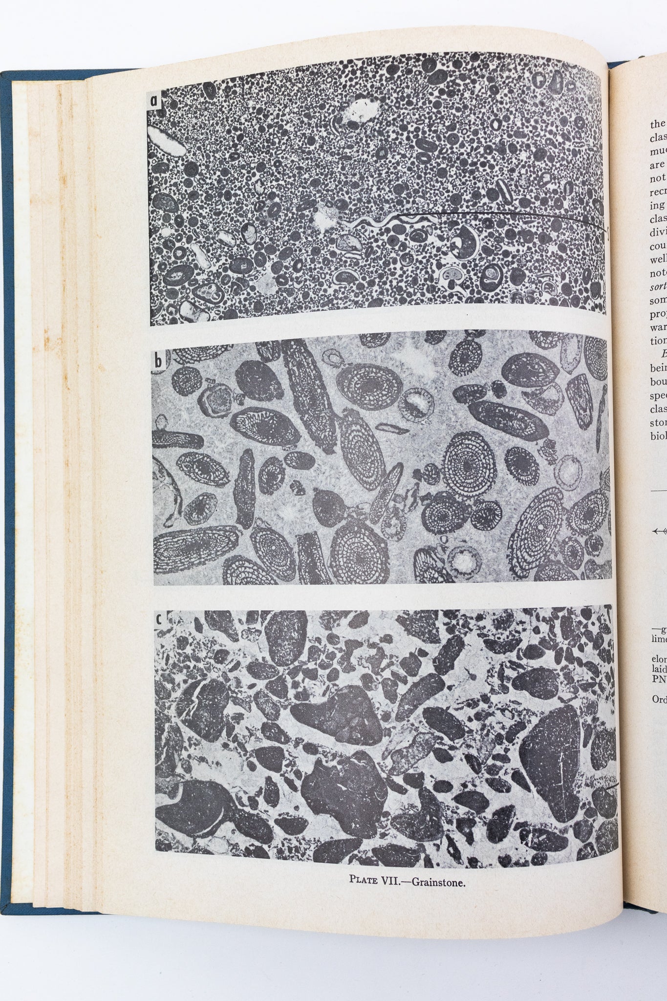 Classification of Carbonate Rocks; a Symposium - Books from Stemcell Science Shop