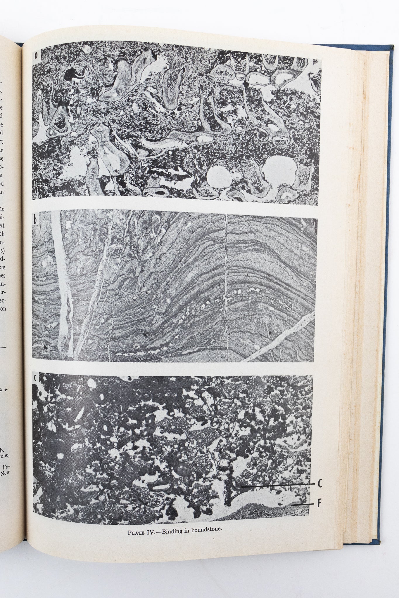 Classification of Carbonate Rocks; a Symposium - Books from Stemcell Science Shop