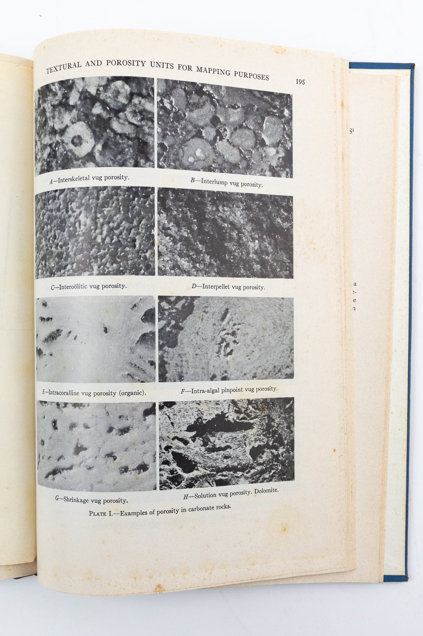 Classification of Carbonate Rocks; a Symposium - Books from Stemcell Science Shop