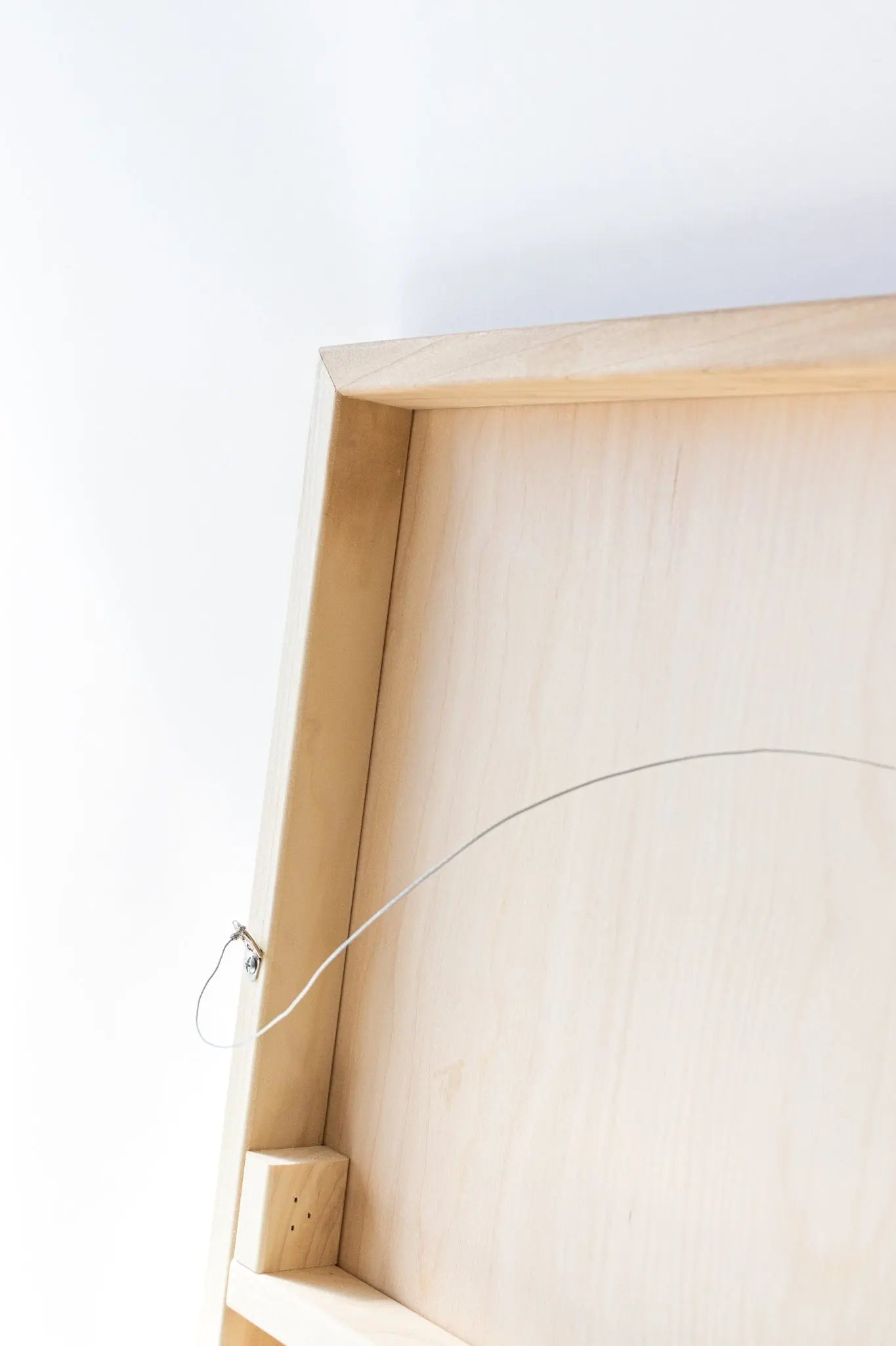 Colophon Whitei Painting - Charts from Stemcell Science Shop