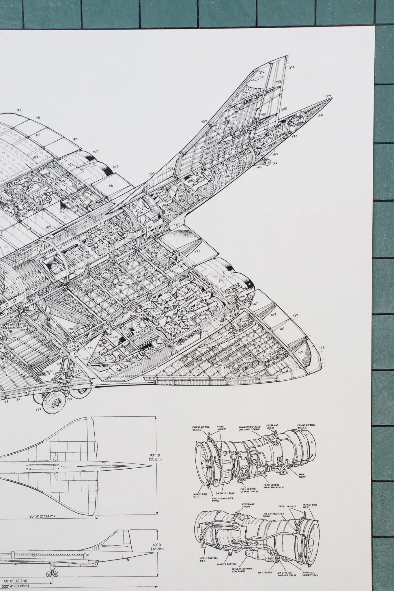Concorde Supersonic Airliner Schematic Chart - Charts from Stemcell Science Shop