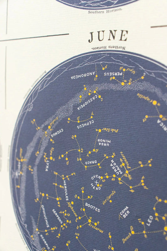 Constellations Chart - Charts from Stemcell Science Shop