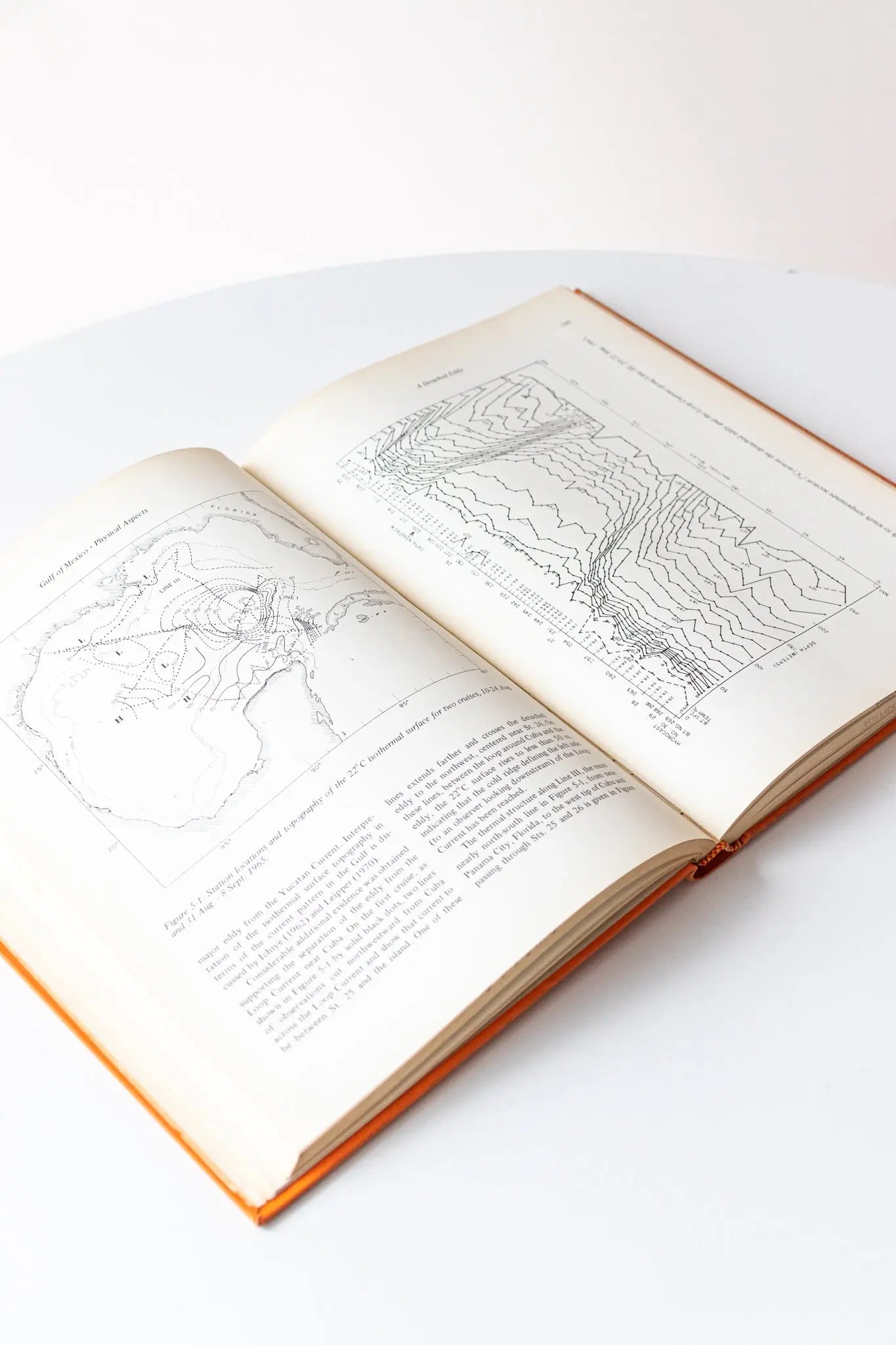 Contributions on the Physical Oceanography of the Gulf of Mexico Vol.2 - Books from Stemcell Science Shop