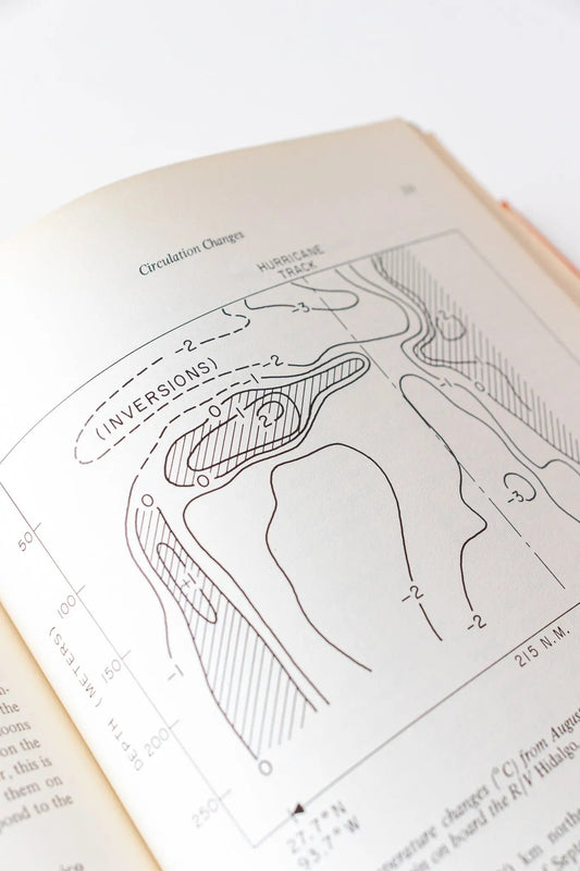 Contributions on the Physical Oceanography of the Gulf of Mexico Vol.2 - Books from Stemcell Science Shop