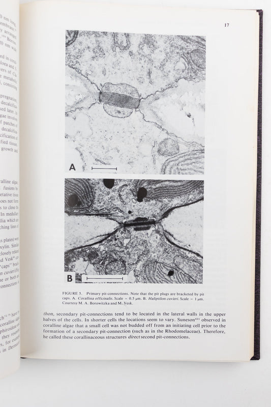 Coralline Algae, A First Synthesis - Books from Stemcell Science Shop