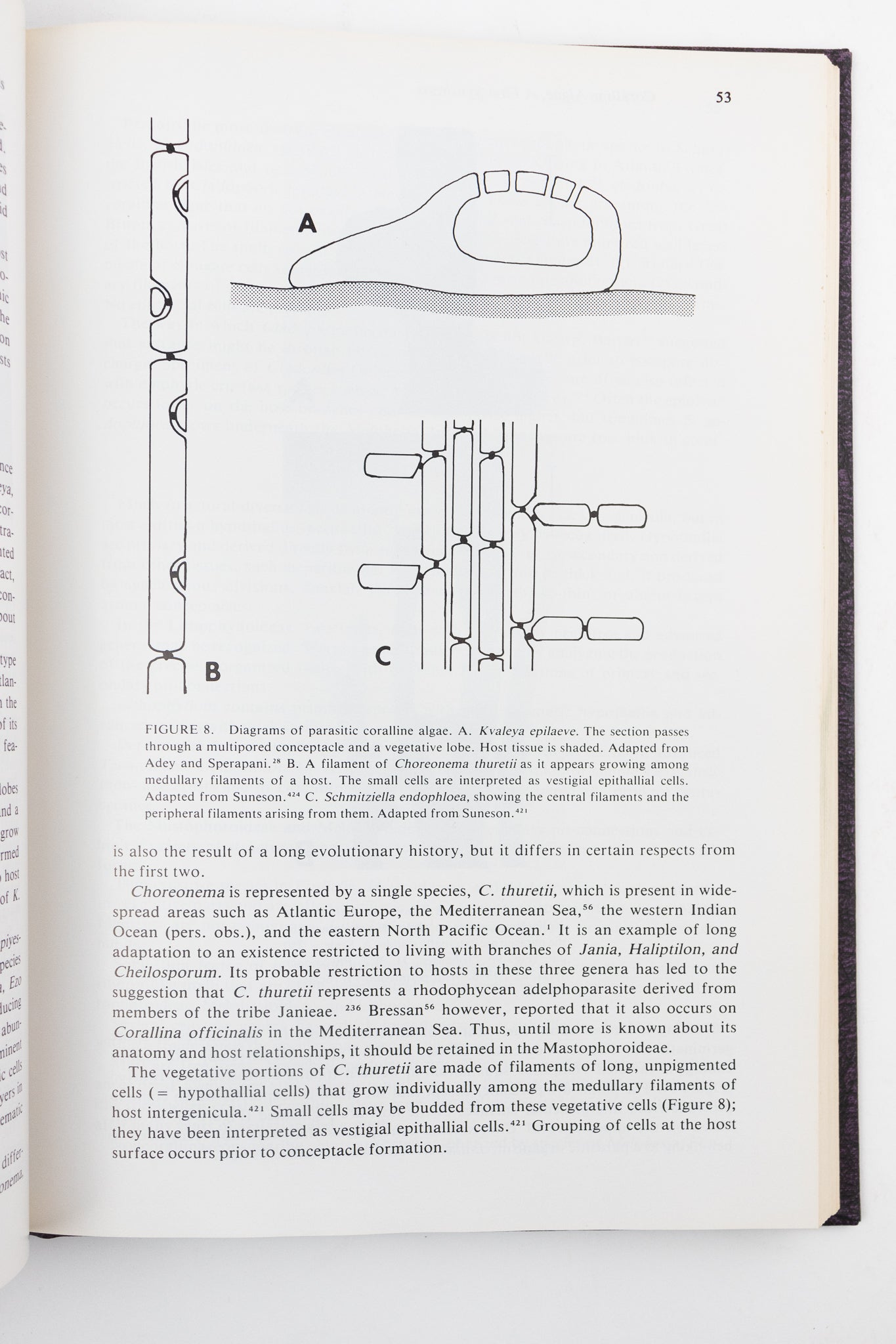 Coralline Algae, A First Synthesis - Books from Stemcell Science Shop