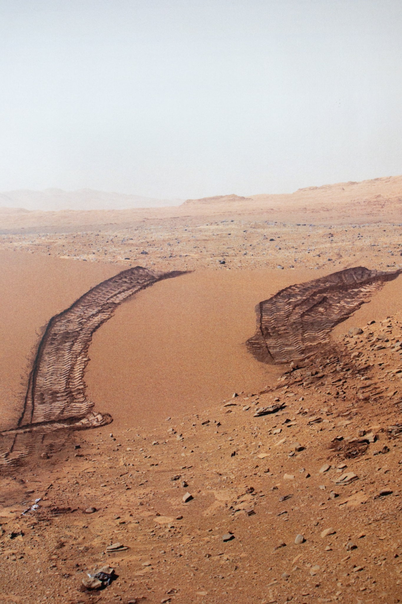 Curiosity Tire Tracks Poster - Charts from Stemcell Science Shop