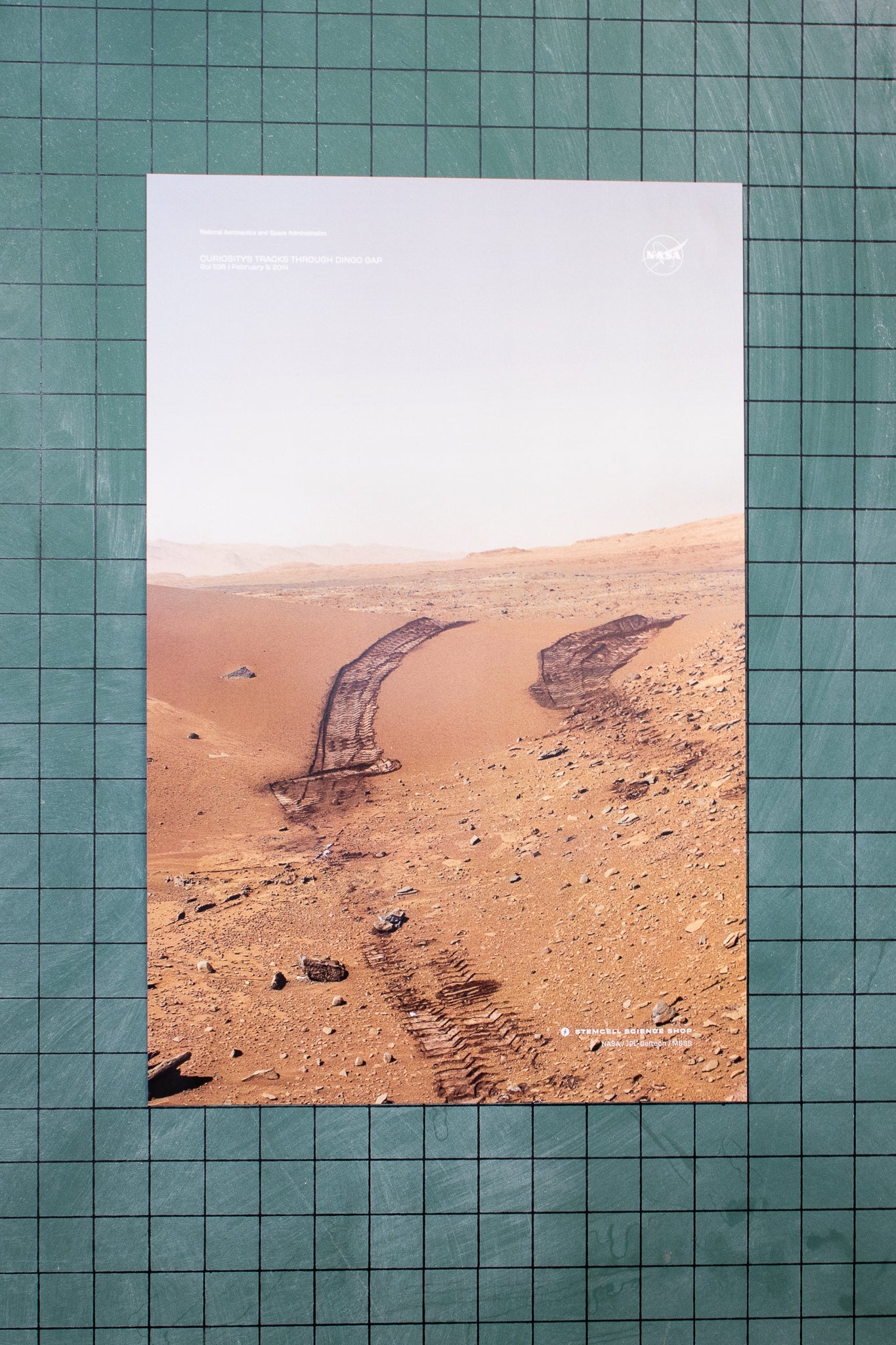 Curiosity Tire Tracks Poster - Charts from Stemcell Science Shop
